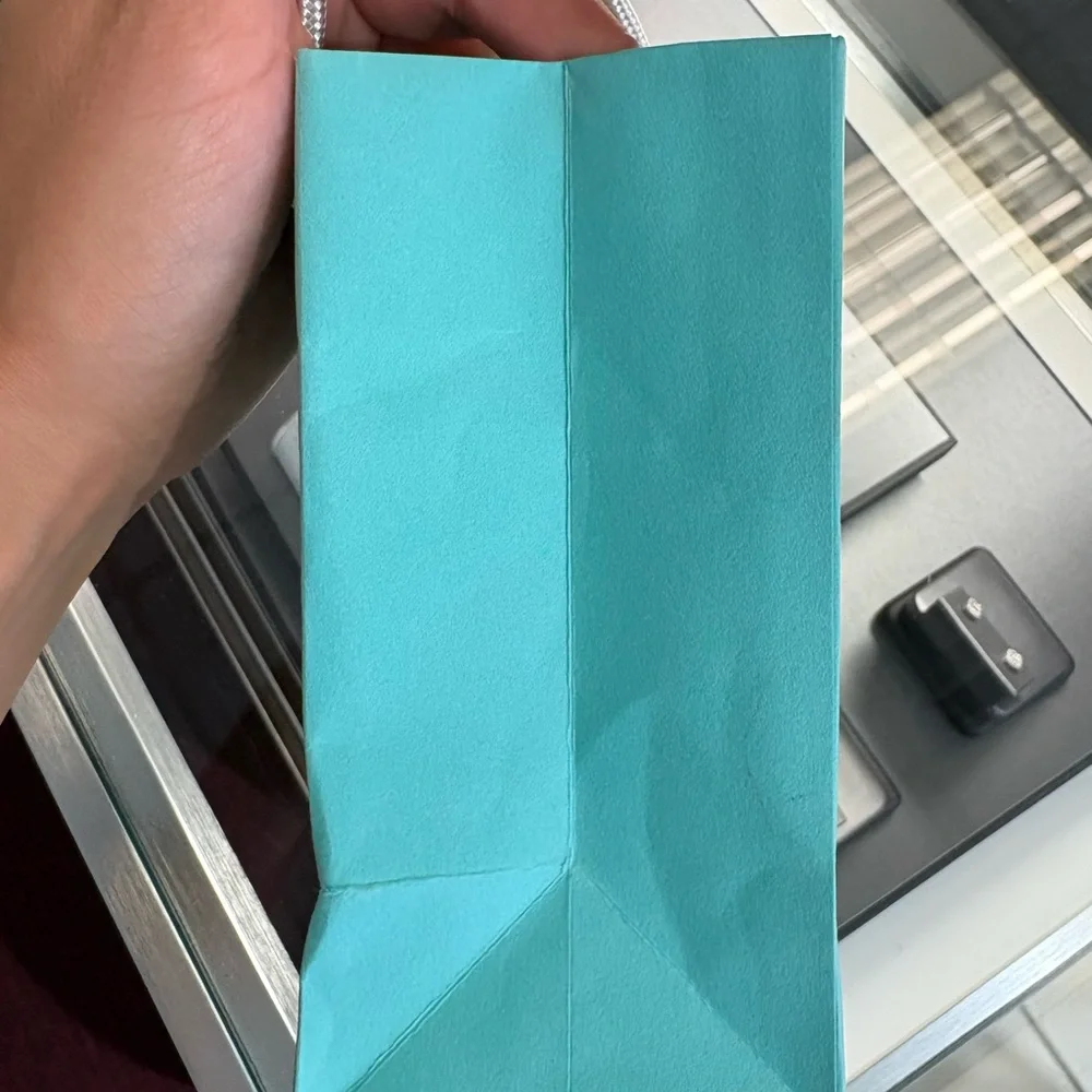 Tiffany & Co. Gift Bag Size 9in x 4.75in